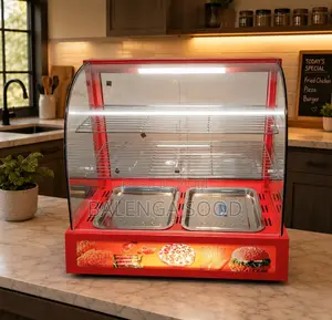Brand New Food Warmer Showcase - 2 Plates