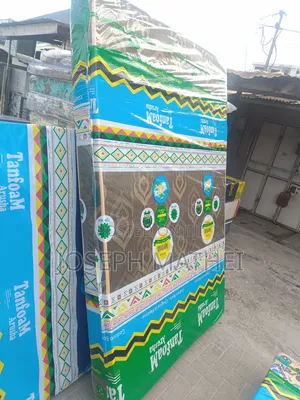 Tanfoam Arusha Mattress 4/6 Inch