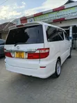 Toyota Alphard 2005 White - 1
