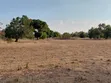 Shamba Ekari 17 kwa Mauzo, Uyui, Tabora - 1