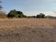 Shamba Ekari 17 kwa Mauzo, Uyui, Tabora - 2