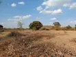 Shamba Ekari 17 kwa Mauzo, Uyui, Tabora - 3