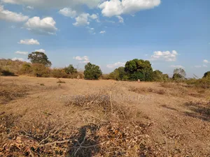 17 Acres Land for Sale, Uyui, Tabora