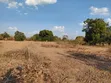 Shamba Ekari 17 kwa Mauzo, Uyui, Tabora - 5