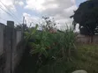 Plot for Sale in Mbweni Malindi Estate, Dar es Salaam - 3