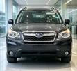 Subaru Forester 2017 Gray - 1