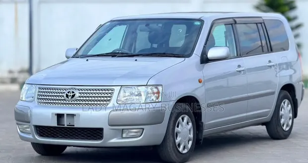 Toyota Succeed 2006 Silver - 1