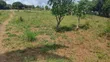 Eneo la Ardhi 4260 SQM kwa Ajili ya Kuuzwa Madale Msigani - 2
