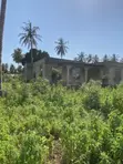 3 Bedroom House for Sale in Mjimwema, Kigamboni - 3