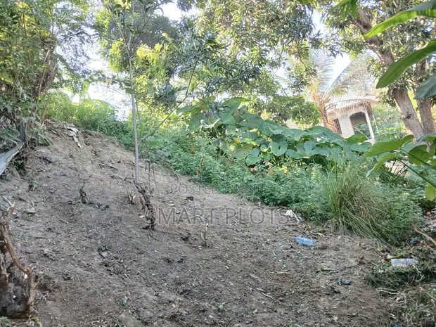 Land for Sale in Mbezi Kibanda Cha Mkaa - 1