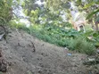 Land for Sale in Mbezi Kibanda Cha Mkaa - 1