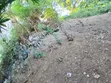 Land for Sale in Mbezi Kibanda Cha Mkaa - 3