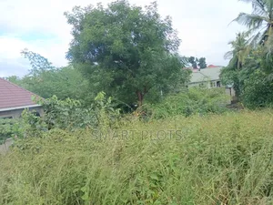 Prime 800sqm Plot for Sale, Goba Road Near Robert