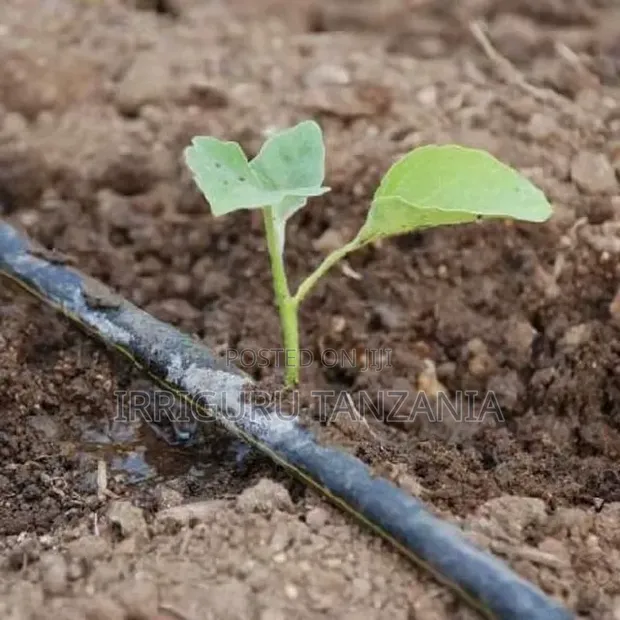 Crop Irrigation Tape - 1