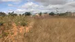 Residential Plot for Sale, Dodoma UDOM Area - 2