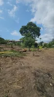 Land Plots Madale Atlas - 4