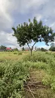 Residential Plot for Sale - Kunduchi, Bahari Beach - 1