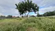 Residential Plot for Sale - Kunduchi, Bahari Beach - 3
