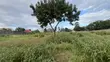 Residential Plot for Sale - Kunduchi, Bahari Beach - 4