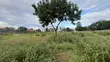 Residential Plot for Sale - Kunduchi, Bahari Beach - 5