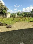 Residential Plot for Sale in Salasala - 2