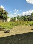 Residential Plot for Sale in Salasala - 3