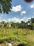 Residential Plot for Sale in Salasala - 4