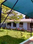 4 Bedroom House for Rent in Masaki, Kinondoni - 3