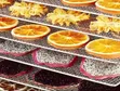 DW Digiwave 24-Layer Commercial Food Dehydrator - 4