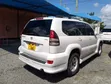 Toyota Land Cruiser Prado 2005 White - 3
