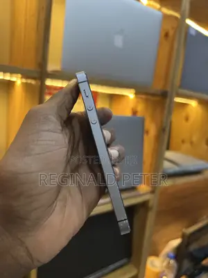 Apple iPhone 5s 16GB Silver