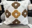 Decorative Cushion with Pillowcase (45x45cm) - 3