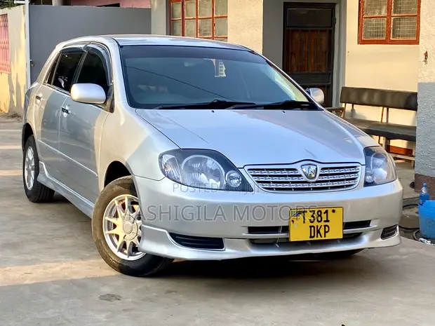 Toyota Allex 2001 Silver - 1