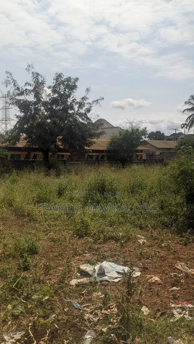 Commercial Plot for Sale Msamvu Morogoro - 1