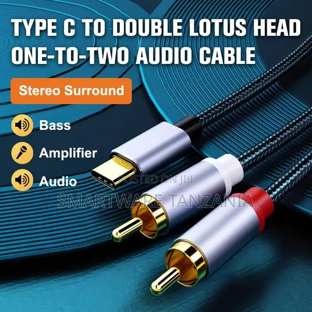 Type-C to Dual Lotus Audio Cable - 1