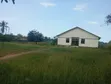 Plot for Sale in Boko Dovya - 1