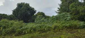 3000 SQM Plot Near Geza Ulole Beach, Kigamboni