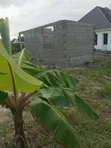 1 Bedroom House for Sale in Manzese, Mbezi - 1