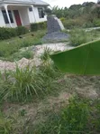 1 Bedroom House for Sale in Manzese, Mbezi - 2