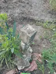 1 Bedroom House for Sale in Manzese, Mbezi - 4