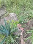 1 Bedroom House for Sale in Manzese, Mbezi - 5