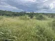 Irrigated Farm for Sale - Miono, Bagamoyo - 4