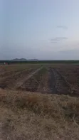 Eneo la Hekari 5 Linauzwa Mwanza Usagara - 3