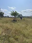 Kiwanja Kinauzwa Mikwambe Kigamboni - 5