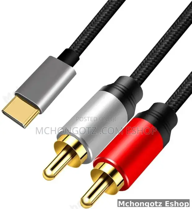 USB-C to 2 RCA Audio Video Cable 3m - 1