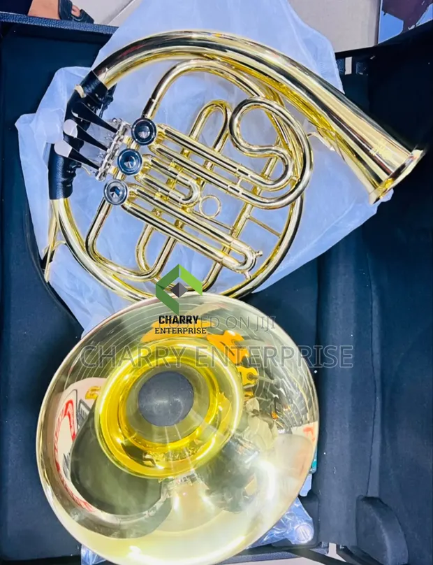 Gold Professional French Horn - 1
