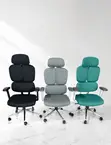 Ergonomic Chair - 1