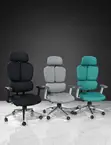 Ergonomic Chair - 2