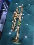 Taratibu ya Brass ya Dhahabu - Mpya Kabisa - 1
