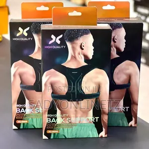Adjustable Back Support